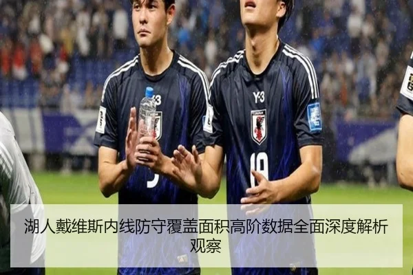 湖人戴维斯内线防守覆盖面积高阶数据全面深度解析观察